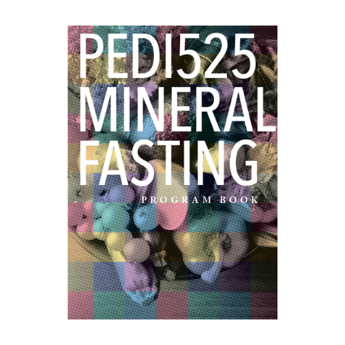 PEDI525 ミネラルファスティングプログラムBOOK