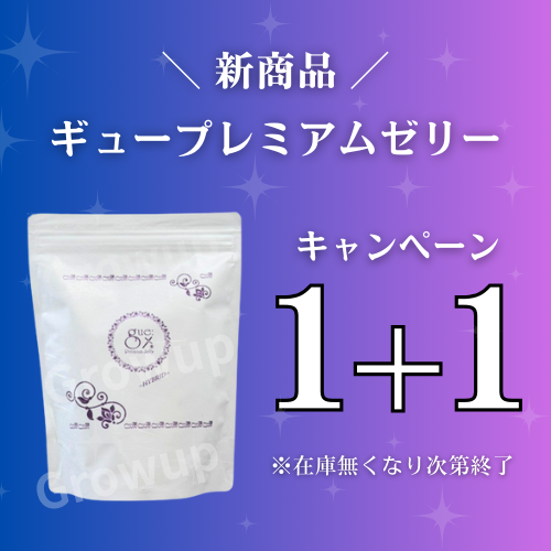 【予約】ギュープレミアムゼリー【1＋1キャンペーン】※6月11日より順次発送