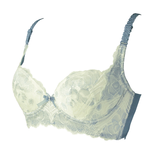 ラヴィエール ブラジャー ブルエ