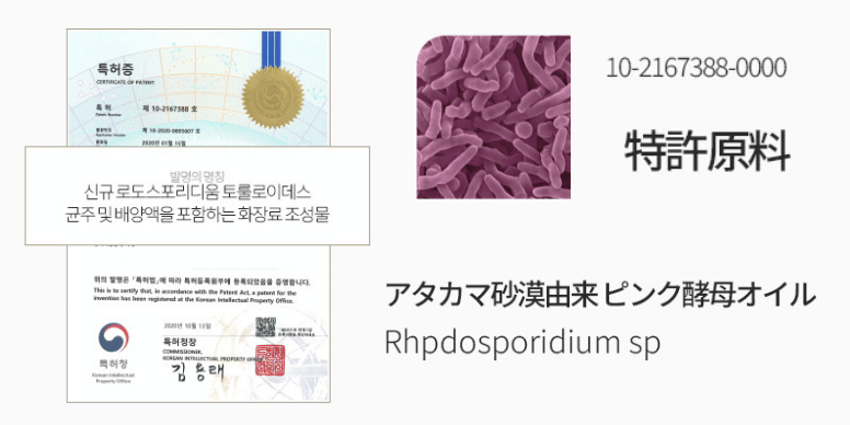 ピンク酵母オイルのイメージ