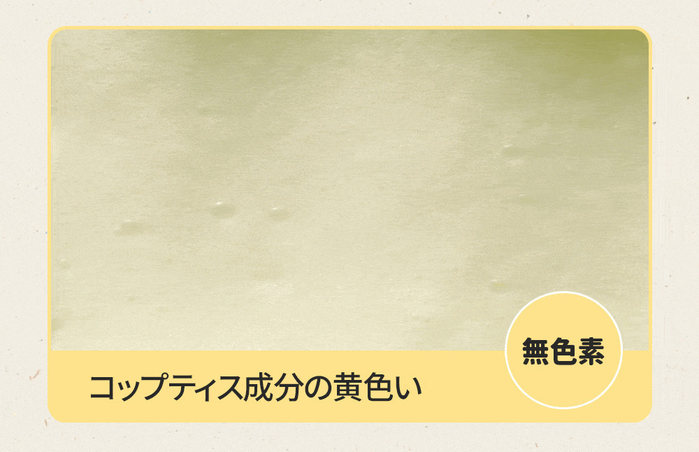 ハーブ由来のコップティスエキスイメージ