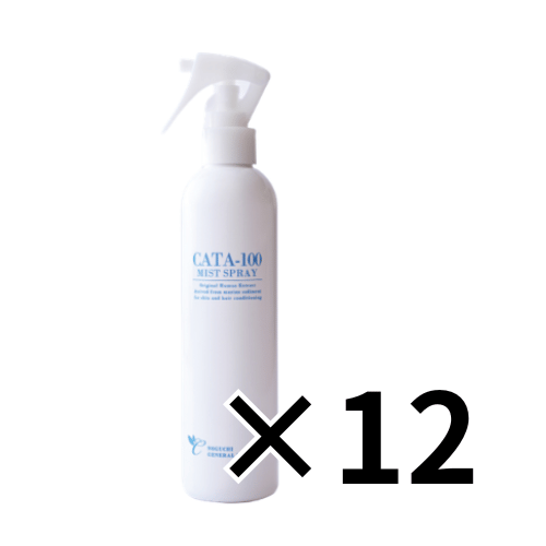 【欠品次回入荷12月頃】カタライザーミストスプレー CATA-100（250mL）ガンスプレー