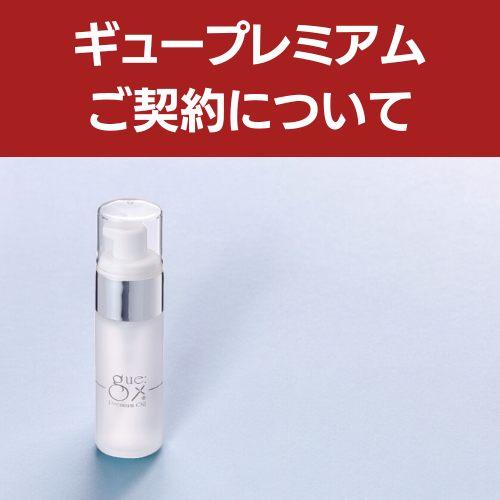ギュープレミアムシリーズ契約について