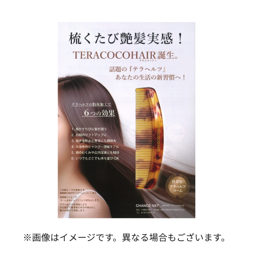 TERACOCOHAIR (テラココヘアー) チラシ