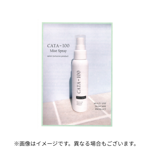 カタライザーミストスプレー CATA-100 リーフレット