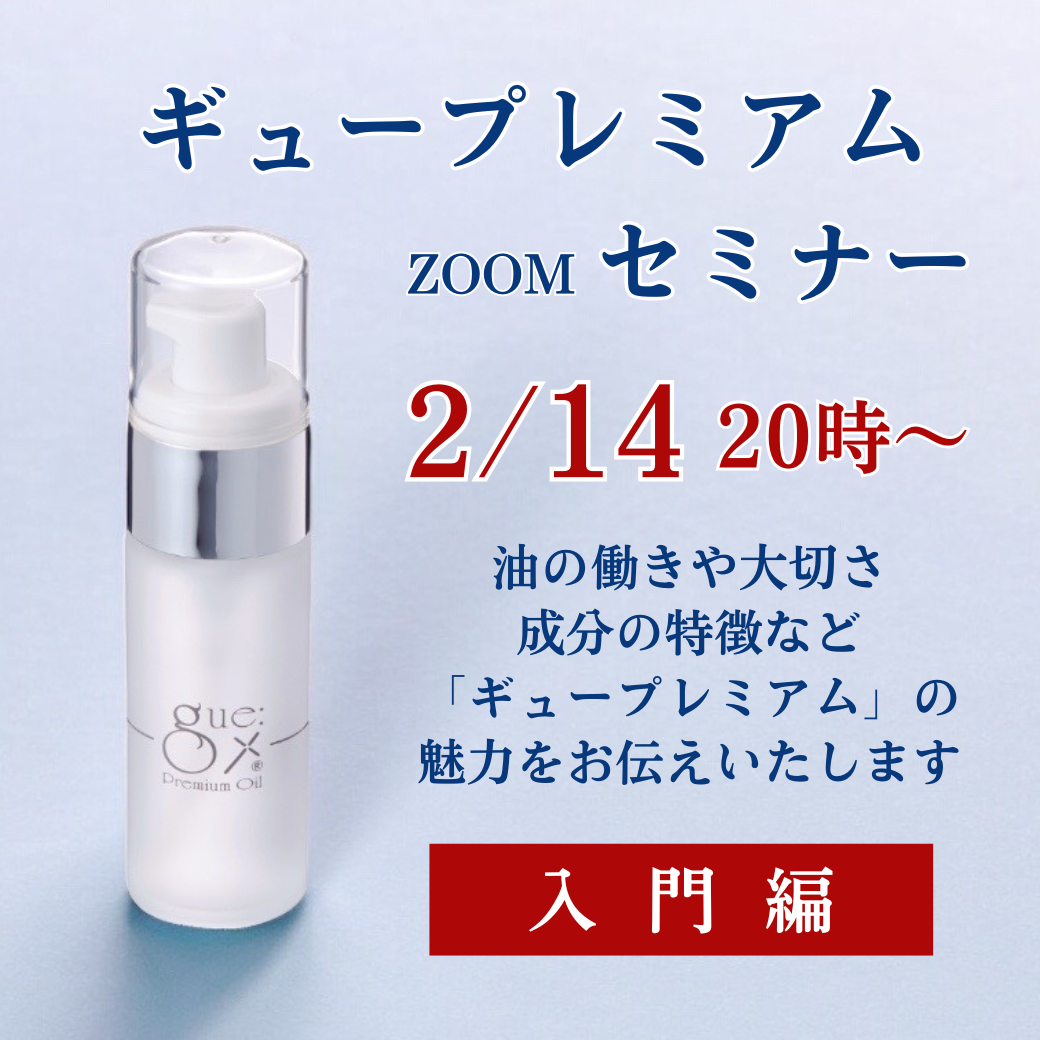 入門編