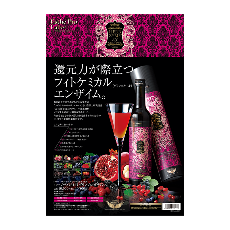 エステプロラボ グランプロ ハーブザイム113GPオラックス B6リーフレット