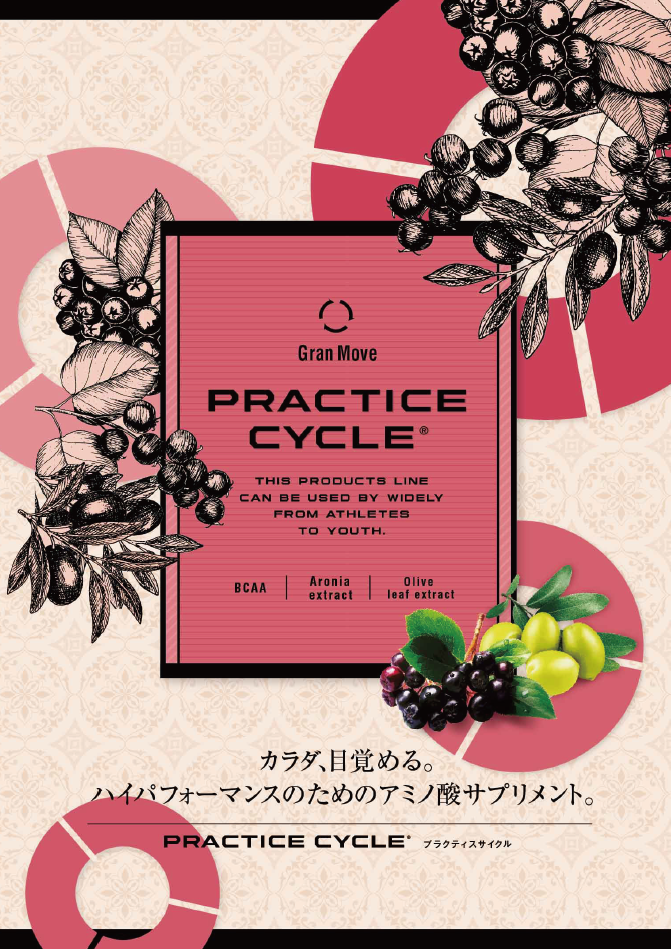 エステプロラボ グランプロ プラクティスサイクル B6リーフレット