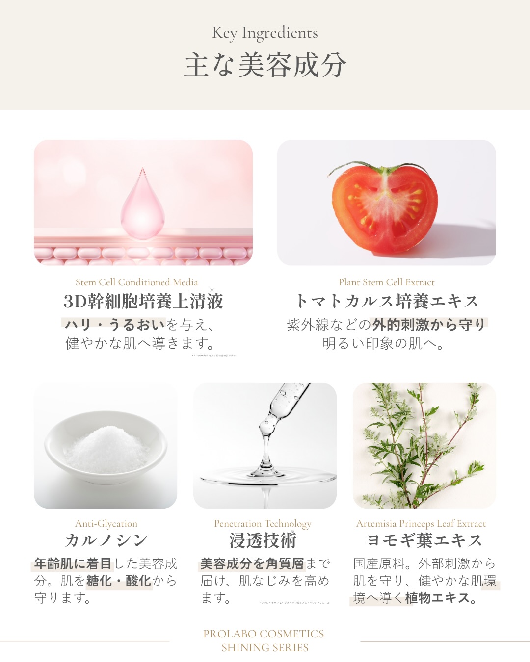 シャイニングシリーズ2