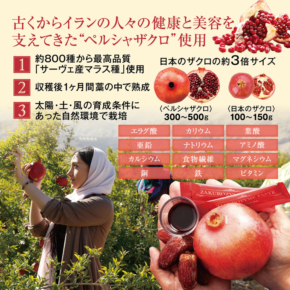 古くから美容と健康に親しまれるペルシャザクロ使用。発酵エイジングケアを叶えるザクロザイムペースト