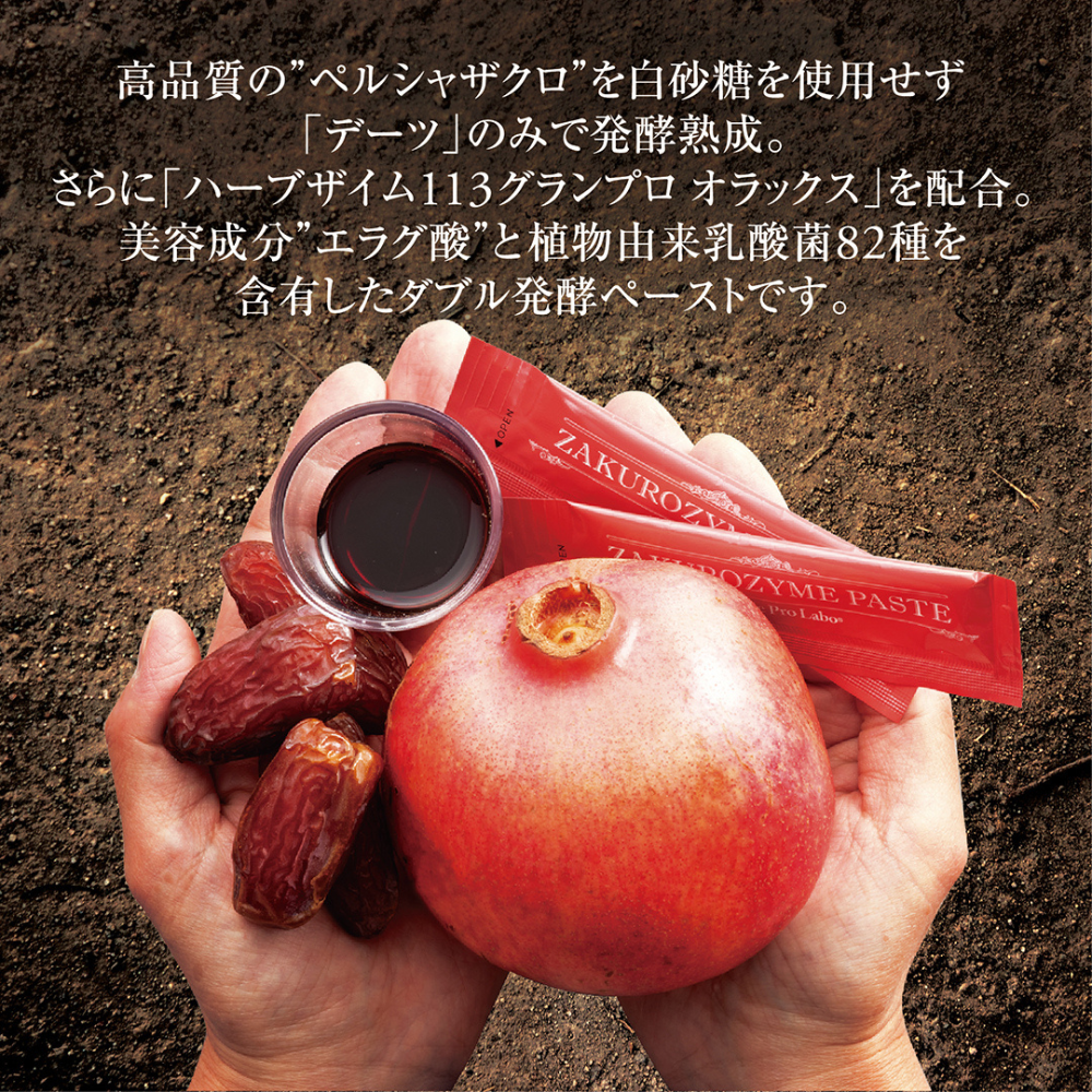白砂糖不使用、デーツで発酵熟成。乳酸菌82種配合のハーブザイムを加えたダブル発酵ペースト
